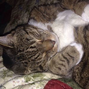 Meet your Posher, Brenda